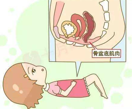 阴道分泌物幸福宝APP污版下载分析女性阴道干燥的原因