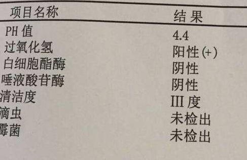 阴道分泌物幸福宝APP污版下载分析阴道清洁度
