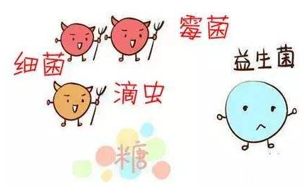 全自动阴道分泌物幸福宝APP污版下载厂家解析引起阴道炎的根本原因