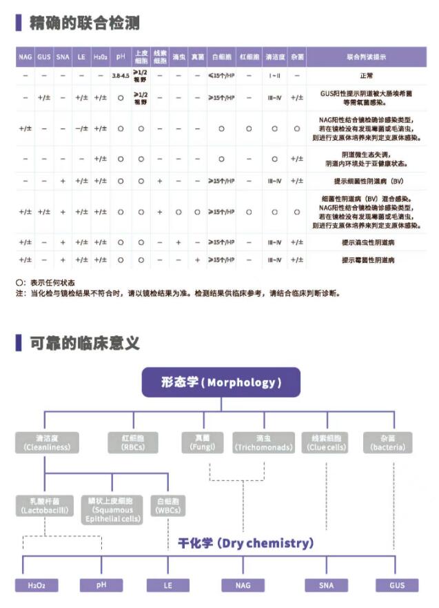 阴道分泌物幸福宝APP最新地址V800精确的联合检测