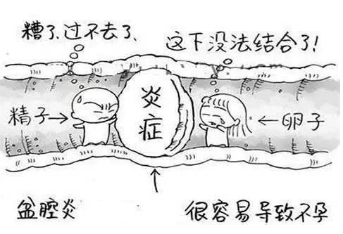全自动妇科阴道分泌物幸福宝APP最新地址检测辨别妇科炎症复杂多样！