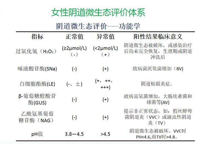 妇科微生态幸福宝APP污版下载器